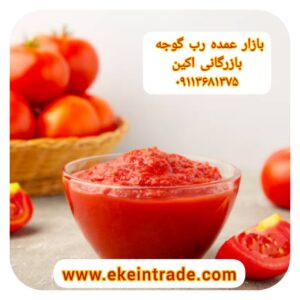 فروش رب گوجه اسپتیک