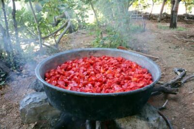 تیره شدن رب گوجه محلی