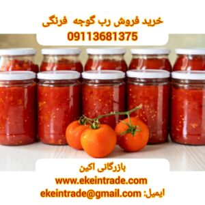 خرید و فروش رب گوجه اسپتیک