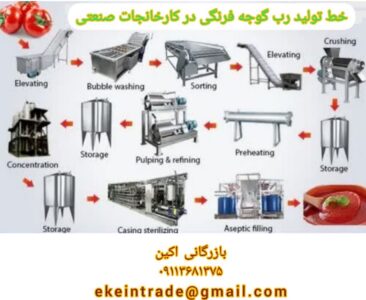 مراحل تولید رب گوجه در کارخانه