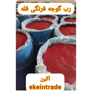 قیمت رب گوجه امروز